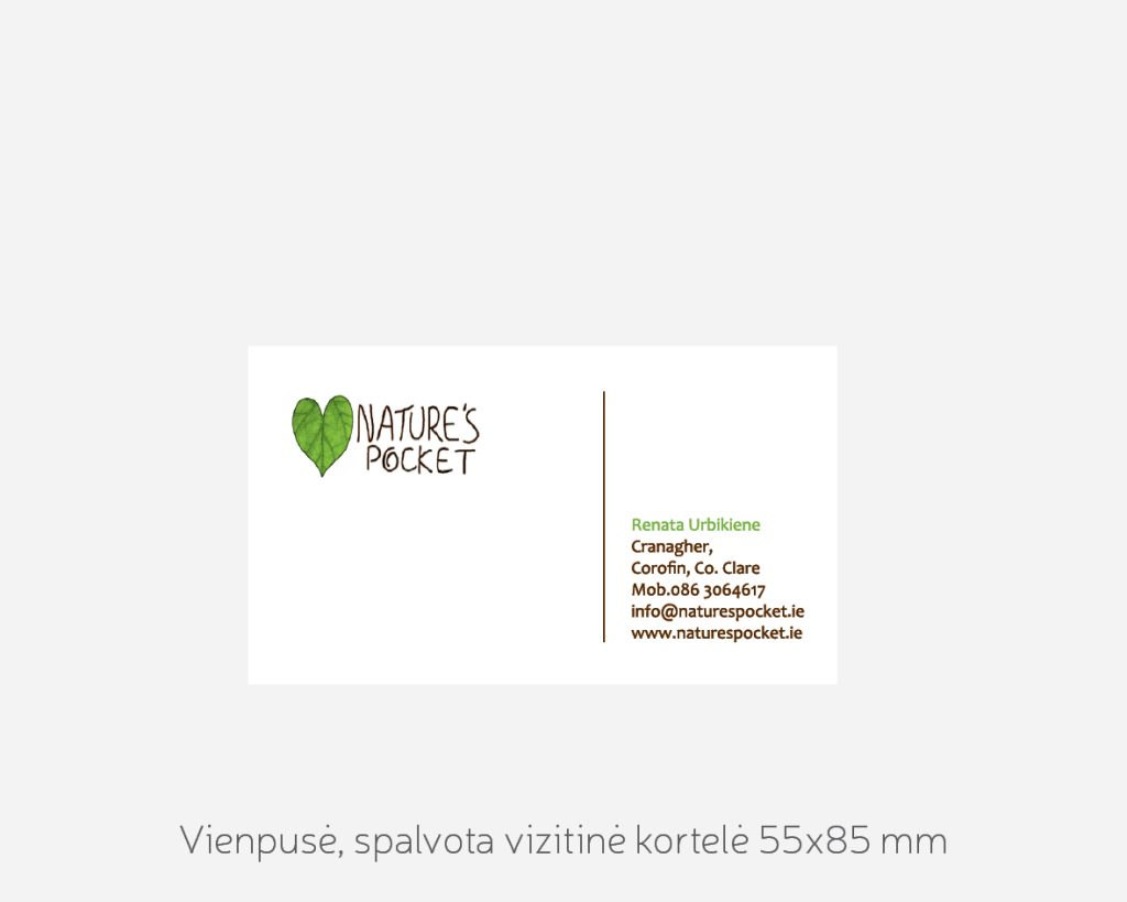 Vizitinė
